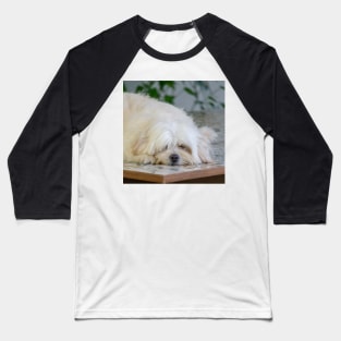 Lazy Sophie Baseball T-Shirt